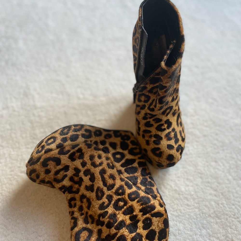 Zanotti - Picture 4 of 6